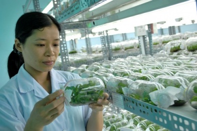 TP.HCM đầu tư hơn 4.500 tỉ đồng cho khoa học công nghệ